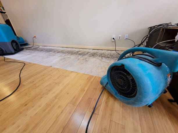Professional Emergency Water Damage technician working in Fair Haven, MI